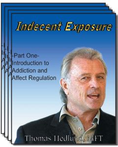 Indecent Exposure:  The Hijacked Brain's Quest for Wholeness Series