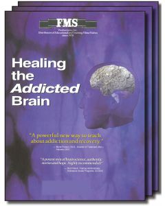 Healing the Addicted Brain Series